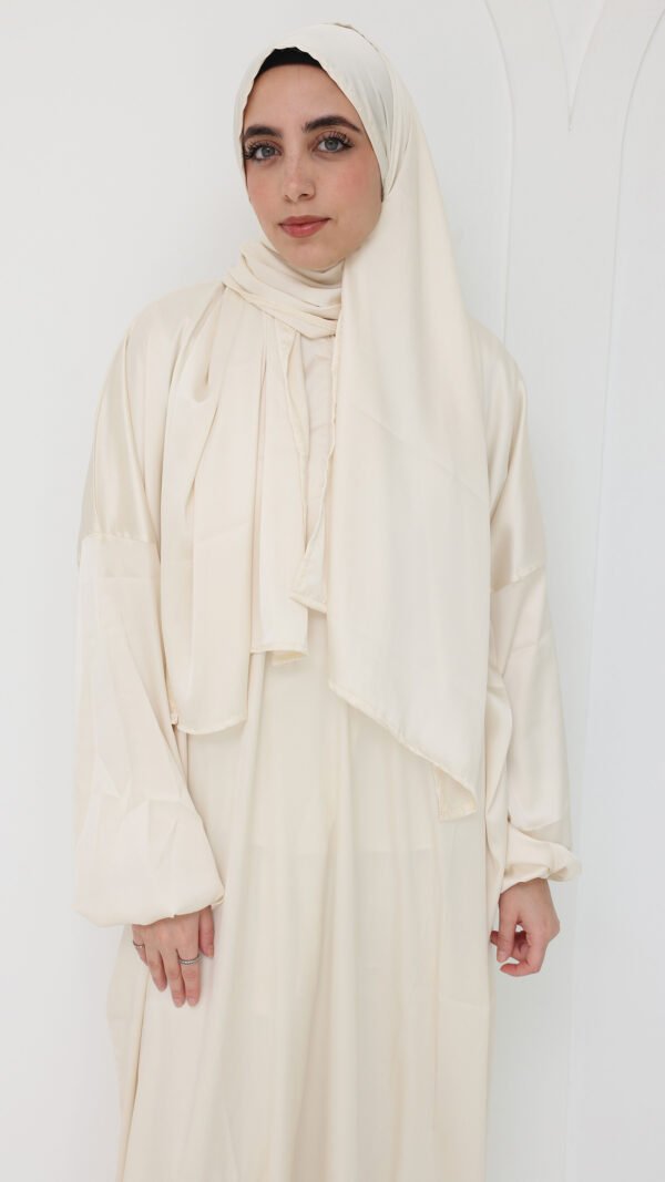 067A1679 Serene Fade