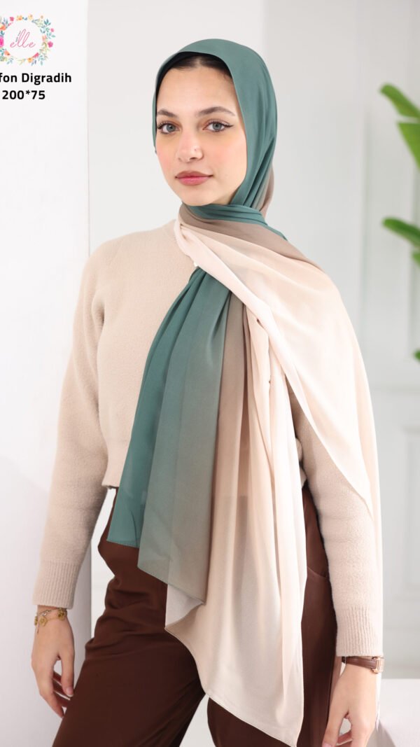 067A9463 ombre fade