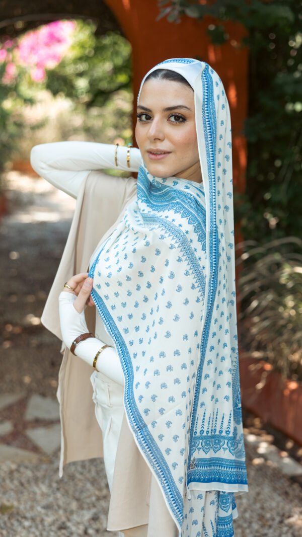 Modesty Mist