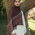 Light Drape