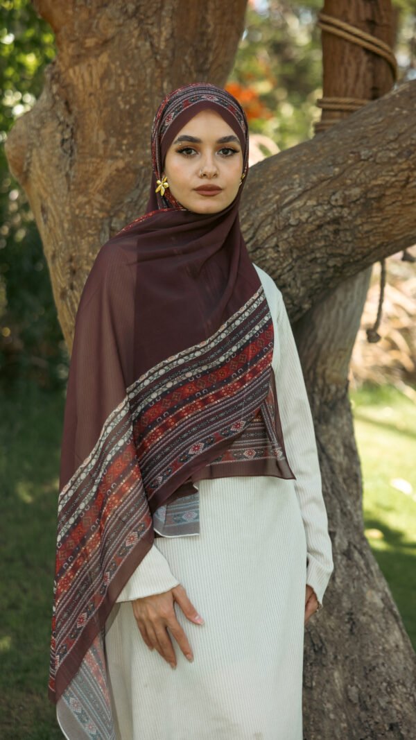 Light Drape