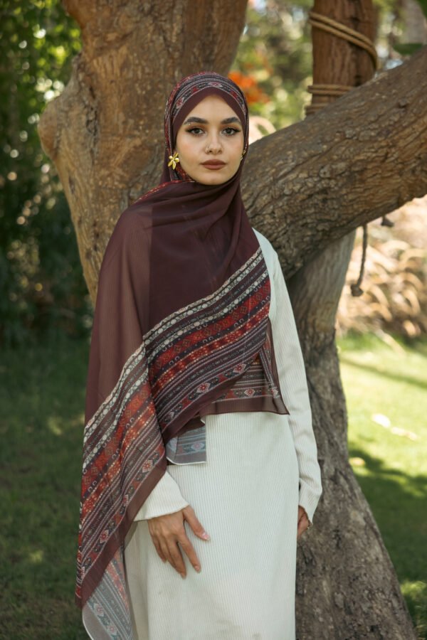 Light Drape